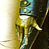 Yohji's picture Yohji's picture